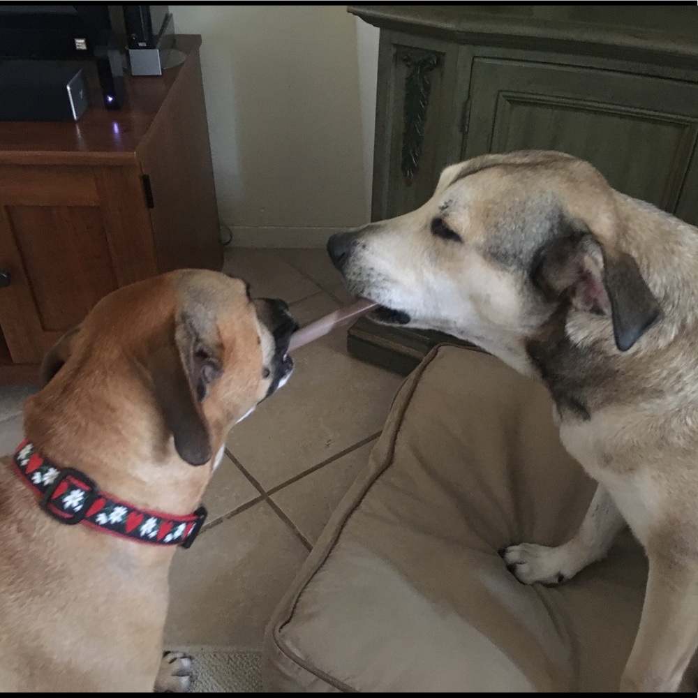 Meet your Posher, Megan